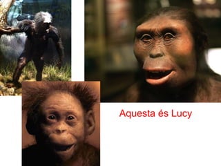 Aquesta és Lucy
 
