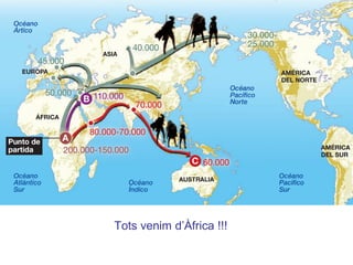 Tots venim d’Àfrica !!!
 