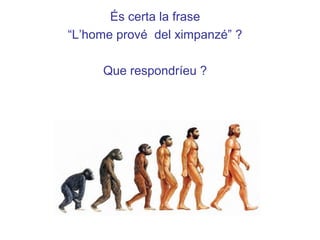 És certa la frase
“L’home prové del ximpanzé” ?
Que respondríeu ?
 