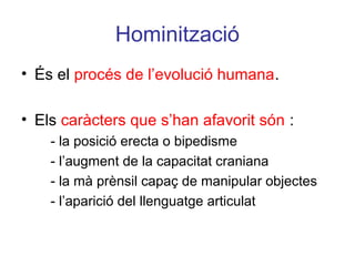 Hominització
• És el procés de l’evolució humana.
• Els caràcters que s’han afavorit són :
- la posició erecta o bipedisme
- l’augment de la capacitat craniana
- la mà prènsil capaç de manipular objectes
- l’aparició del llenguatge articulat
 