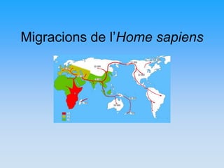 Migracions de l’Home sapiens
 