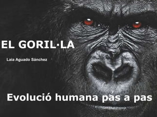 37
Evolució humana pas a pas
EL GORIL·LA
Laia Aguado Sánchez
 