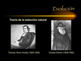 Evolución Teoría de la selección natural  Thomas Henry Huxley (1825-1895) Charles Darwin (1809-1882) 