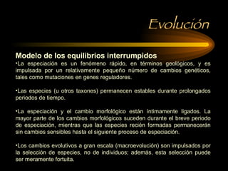 Evolución Modelo de los equilibrios interrumpidos  La especiación es un fenómeno rápido, en términos geológicos, y es impulsada por un relativamente pequeño número de cambios genéticos, tales como mutaciones en genes reguladores. Las especies (u otros taxones) permanecen estables durante prolongados periodos de tiempo.  La especiación y el cambio morfológico están íntimamente ligados. La mayor parte de los cambios morfológicos suceden durante el breve periodo de especiación, mientras que las especies recién formadas permanecerán sin cambios sensibles hasta el siguiente proceso de especiación. Los cambios evolutivos a gran escala (macroevolución) son impulsados por la selección de especies, no de individuos; además, esta selección puede ser meramente fortuita. 