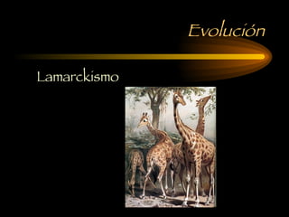 Evolución Lamarckismo 
