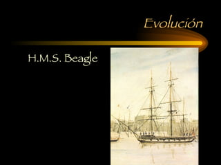 Evolución H.M.S. Beagle 