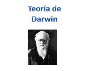 Teoría de Darwin