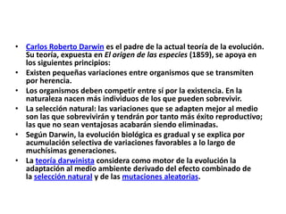 Carlos Roberto Darwin es el padre de la actual teoría de la evolución. Su teoría, expuesta en El origen de las especies (1859), se apoya en los siguientes principios:Existen pequeñas variaciones entre organismos que se transmiten por herencia.Los organismos deben competir entre sí por la existencia. En la naturaleza nacen más individuos de los que pueden sobrevivir.La selección natural: las variaciones que se adapten mejor al medio son las que sobrevivirán y tendrán por tanto más éxito reproductivo; las que no sean ventajosas acabarán siendo eliminadas.Según Darwin, la evolución biológica es gradual y se explica por acumulación selectiva de variaciones favorables a lo largo de muchísimas generaciones.La teoría darwinista considera como motor de la evolución la adaptación al medio ambiente derivado del efecto combinado de la selección natural y de las mutaciones aleatorias.