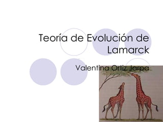 Teoría de Evolución de Lamarck Valentina Ortiz Jarpa 