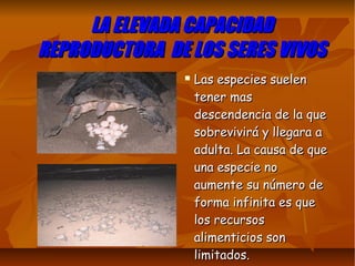 LA ELEVADA CAPACIDADLA ELEVADA CAPACIDAD
REPRODUCTORA DE LOS SERES VIVOSREPRODUCTORA DE LOS SERES VIVOS
 Las especies suelenLas especies suelen
tener mastener mas
descendencia de la quedescendencia de la que
sobrevivirá y llegara asobrevivirá y llegara a
adulta. La causa de queadulta. La causa de que
una especie nouna especie no
aumente su número deaumente su número de
forma infinita es queforma infinita es que
los recursoslos recursos
alimenticios sonalimenticios son
limitados.limitados.
 