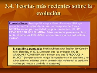El equilibrio puntuado: Teoría publicada por Stephen Jay Gould y
Niels Eldredge, en 1972. Defendían que “La evolución NO ES
GRADUAL Y CONTINUA en el tiempo, sino que SE PRODUCE ‘A
SALTOS’” (hay periodos en los que las especies están en equilibrio y no
sufren cambios, mientras que en determinados momentos se producen
muchas spp nuevas a partir de las existentes)
3.4. Teorías más recientes sobre la3.4. Teorías más recientes sobre la
evoluciónevolución
El neutralismo: Teoría publicada por Motoo Kimura en 1968, que
proponía que “La selección natural se comporta de forma
NEUTRA sobre gran cantidad de genes mutantes: NI LOS
FAVORECE NI LOS ELIMINA. Éstos mutantes permanecerán o
serán eliminados POR AZAR, el cual hace que las poblaciones
varíen”.
 