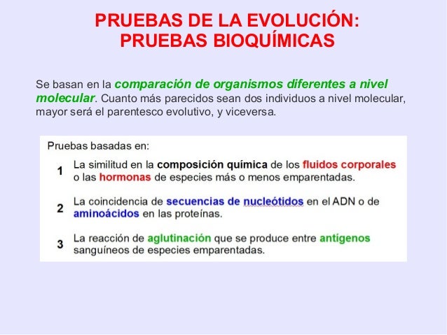 Pruebas Bioquimicas De La Evolucion Wikipedia