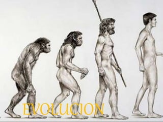 EVOLUCION
 