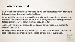 Selección natural
es un fenómeno de la evolución que se define como la reproducción diferencial
de los genotipos de una población biológica.
La formulación clásica de la selección natural establece que las condiciones de
un medio ambiente favorecen o dificultan, es decir, seleccionan la reproducción
de los organismos vivos según sean sus peculiaridades.
La selección natural fue propuesta por Darwin como medio para explicar la
evolución biológica.
Esta explicación parte de tres premisas; La acumulación de estos cambios a lo
largo de las generaciones produciría todos los fenómenos evolutivos.
 