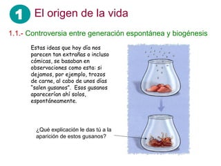 1 El origen de la vida
1.1.- Controversia entre generación espontánea y biogénesis
Estas ideas que hoy día nos
parecen tan extrañas o incluso
cómicas, se basaban en
observaciones como esta: si
dejamos, por ejemplo, trozos
de carne, al cabo de unos días
“salen gusanos”. Esos gusanos
aparecerían ahí solos,
espontáneamente.
¿Qué explicación le das tú a la
aparición de estos gusanos?
 