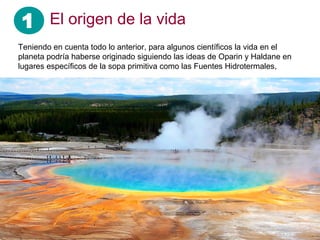 1 El origen de la vida
Teniendo en cuenta todo lo anterior, para algunos científicos la vida en el
planeta podría haberse originado siguiendo las ideas de Oparin y Haldane en
lugares específicos de la sopa primitiva como las Fuentes Hidrotermales,
 