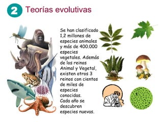 2
Se han clasificado
1,2 millones de
especies animales
y más de 400.000
especies
vegetales. Además
de los reinos
Animal y Vegetal,
existen otros 3
reinos con cientos
de miles de
especies
conocidas.
Cada año se
descubren
especies nuevas.
Teorías evolutivas
 
