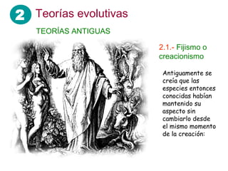 2
Antiguamente se
creía que las
especies entonces
conocidas habían
mantenido su
aspecto sin
cambiarlo desde
el mismo momento
de la creación:
TEORÍAS ANTIGUAS
Teorías evolutivas
2.1.- Fijismo o
creacionismo
 