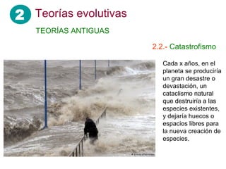 2
Cada x años, en el
planeta se produciría
un gran desastre o
devastación, un
cataclismo natural
que destruiría a las
especies existentes,
y dejaría huecos o
espacios libres para
la nueva creación de
especies.
Teorías evolutivas
TEORÍAS ANTIGUAS
2.2.- Catastrofismo
 