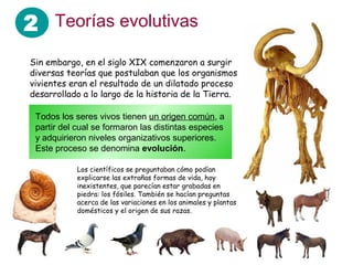 2
Todos los seres vivos tienen un origen común, a
partir del cual se formaron las distintas especies
y adquirieron niveles organizativos superiores.
Este proceso se denomina evolución.
Sin embargo, en el siglo XIX comenzaron a surgir
diversas teorías que postulaban que los organismos
vivientes eran el resultado de un dilatado proceso
desarrollado a lo largo de la historia de la Tierra.
Los científicos se preguntaban cómo podían
explicarse las extrañas formas de vida, hoy
inexistentes, que parecían estar grabadas en
piedra: los fósiles. También se hacían preguntas
acerca de las variaciones en los animales y plantas
domésticos y el origen de sus razas.
Teorías evolutivas
 