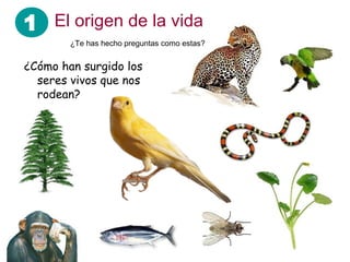 1
¿Cómo han surgido los
seres vivos que nos
rodean?
¿Te has hecho preguntas como estas?
El origen de la vida
 