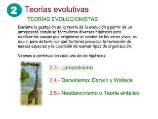 2 Teorías evolutivas
2.3.- Lamarckismo
2.4.- Darwinismo: Darwin y Wallace
2.5.- Neodarwinismo o Teoría sintética
Durante la gestación de la teoría de la evolución a partir de un
antepasado común se formularon diversas hipótesis para
explicar las causas que originaron el cambio en los seres vivos, es
decir, para determinar qué factores provocan la formación de
nuevas especies y la aparición de nuevos tipos de organización.
Veamos a continuación cada una de las hipótesis:
TEORÍAS EVOLUCIONISTAS
 
