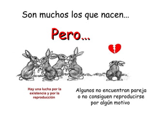 Algunos no encuentran pareja
o no consiguen reproducirse
por algún motivo
Son muchos los que nacen…
Pero…Pero…
Hay una lucha por la
existencia y por la
reproducción
 