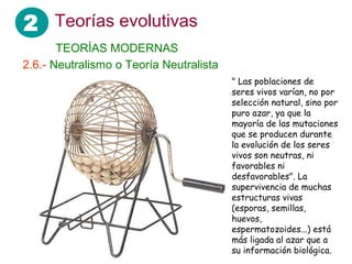 2 Teorías evolutivas
2.6.- Neutralismo o Teoría Neutralista
" Las poblaciones de
seres vivos varían, no por
selección natural, sino por
puro azar, ya que la
mayoría de las mutaciones
que se producen durante
la evolución de los seres
vivos son neutras, ni
favorables ni
desfavorables". La
supervivencia de muchas
estructuras vivas
(esporas, semillas,
huevos,
espermatozoides...) está
más ligada al azar que a
su información biológica.
TEORÍAS MODERNAS
 