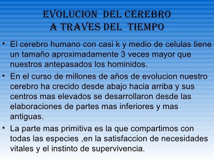 El vídeo como adelgazar del jengibre