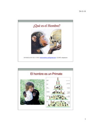 24-11-14	

1	

¿Qué es el Hombre?
INFORMACION DEL CURSO: biol.evolutiva.uls@gmail.com / CLAVE: adaptacion	

El hombre es un Primate
 