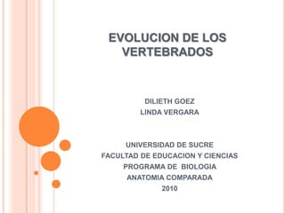 EVOLUCION DE LOS VERTEBRADOS DILIETH GOEZ LINDA VERGARA UNIVERSIDAD DE SUCRE FACULTAD DE EDUCACION Y CIENCIAS PROGRAMA DE  BIOLOGIA  ANATOMIA COMPARADA 2010 