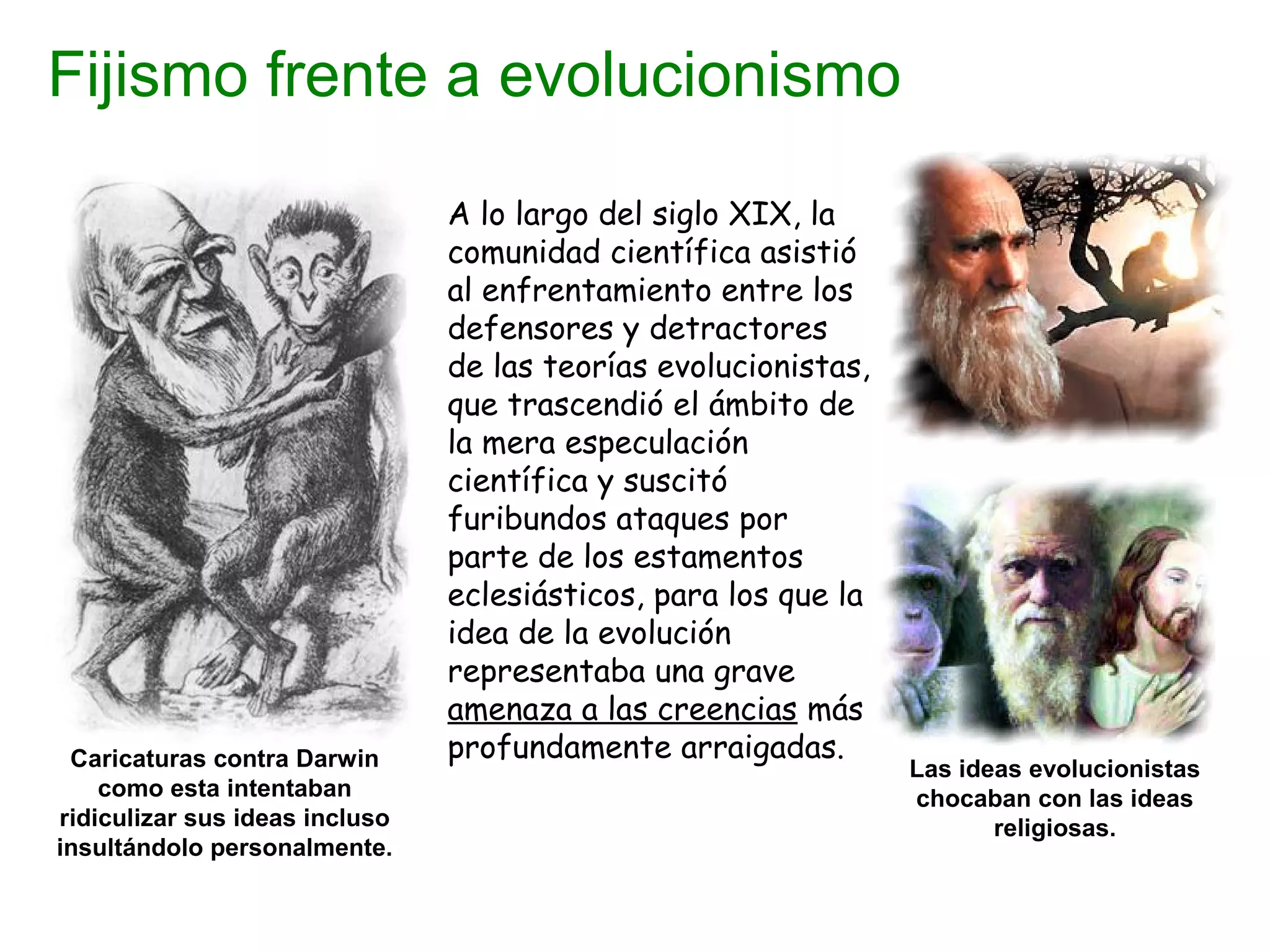 A lo largo del siglo XIX, la
comunidad científica asistió
al enfrentamiento entre los
defensores y detractores
de las teorías evolucionistas,
que trascendió el ámbito de
la mera especulación
científica y suscitó
furibundos ataques por
parte de los estamentos
eclesiásticos, para los que la
idea de la evolución
representaba una grave
amenaza a las creencias más
profundamente arraigadas.Caricaturas contra Darwin
como esta intentaban
ridiculizar sus ideas incluso
insultándolo personalmente.
Las ideas evolucionistas
chocaban con las ideas
religiosas.
Fijismo frente a evolucionismo
 