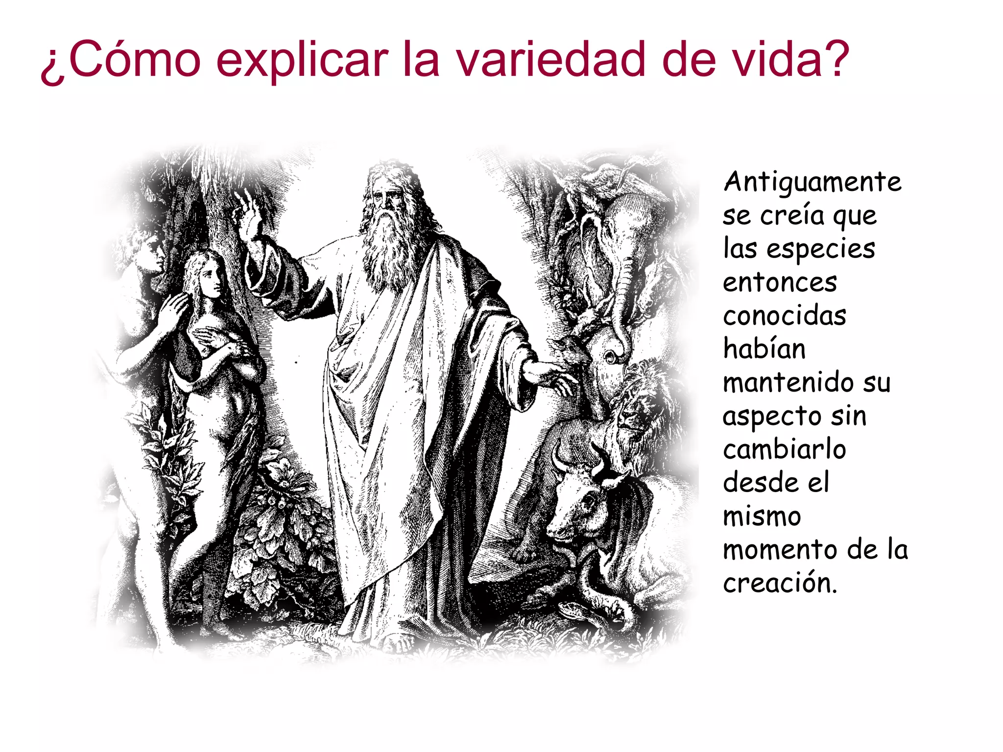 Antiguamente
se creía que
las especies
entonces
conocidas
habían
mantenido su
aspecto sin
cambiarlo
desde el
mismo
momento de la
creación.
¿Cómo explicar la variedad de vida?
 