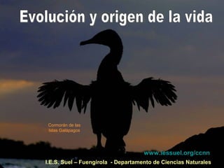 I.E.S. Suel – Fuengirola - Departamento de Ciencias Naturales
Cormorán de las
Islas Galápagos
www.iessuel.org/ccnn
 