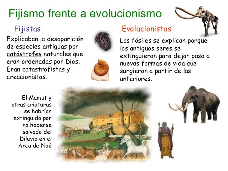 Resultado de imagen de teorÃ­a fijista y evolucionista