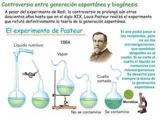 Controversia entre generación espontánea y biogénesis A pesar del experimento de Redi, la controversia se prolongó aún otros doscientos años hasta que en el siglo XIX, Louis Pasteur realizó el experimento que refutó definitivamente la teoría de la generación espontánea. 1864 El aire podía pasar a los recipientes, pero no así los microorganismos, que quedaban atrapados en el cuello. Si se corta el cuello el líquido se contamina con microorganismos. Se desechó para siempre la teoría de la generación espontánea. Microbios El experimento de Pasteur 