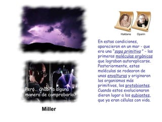 Haldane  Oparin En estas condiciones, aparecieron en un mar - que era una “ sopa primitiva   ” - las primeras  moléculas orgánicas  que lograban autoreplicarse. Posteriormente, estas moléculas se rodearon de unas  envolturas  y originaron los organismos más primitivos, los  protobiontes . Cuando estos evolucionaron dieron lugar a los  eubiontes , que ya eran células con vida. Miller Pero… ¿habría alguna manera de comprobarlo? 