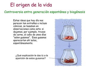 Estas ideas que hoy día nos parecen tan extrañas o incluso cómicas, se basaban en observaciones como esta: si dejamos, por ejemplo, trozos de carne, al cabo de unos días “salen gusanos”.  Esos gusanos aparecerían ahí solos, espontáneamente. ¿Qué explicación le das tú a la aparición de estos gusanos? El origen de la vida Controversia entre generación espontánea y biogénesis 