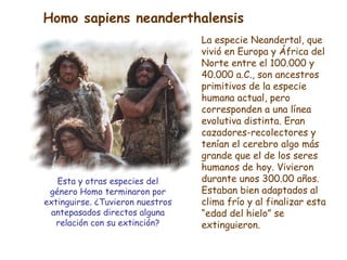 La especie Neandertal, que vivió en Europa y África del Norte entre el 100.000 y 40.000 a.C., son ancestros primitivos de ...