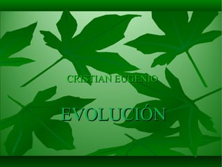 CRISTIAN EUGENIO

EVOLUCIÓN

 