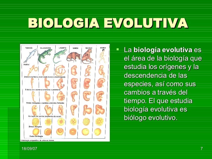 Evolucion