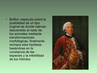• Buffon: especula sobre la
posibilidad de un tipo
original de donde habrían
descendido el resto de
los animales mediante
transformaciones
morfológicas, finalmente
rechaza esta hipótesis
basándose en la
constancia de las
especies y la infertilidad
de los híbridos
 