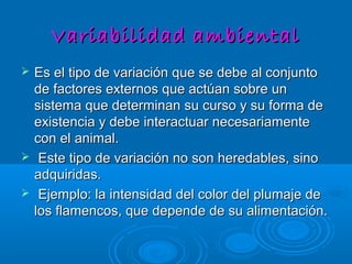 VariabilidadVariabilidad ambientalambiental
 Es el tipo de variación que se debe al conjuntoEs el tipo de variación que se debe al conjunto
de factores externos que actúan sobre unde factores externos que actúan sobre un
sistema que determinan su curso y su forma desistema que determinan su curso y su forma de
existencia y debe interactuar necesariamenteexistencia y debe interactuar necesariamente
con el animal.con el animal.
 Este tipo de variación no son heredables, sinoEste tipo de variación no son heredables, sino
adquiridas.adquiridas.
 Ejemplo: la intensidad del color del plumaje deEjemplo: la intensidad del color del plumaje de
los flamencos, que depende de su alimentación.los flamencos, que depende de su alimentación.
 