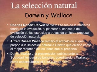 Darwin y Wallace
• Charles Robert Darwin sentó las bases de la moderna
teoría de la evolución, al plantear el concepto de
evolución de las especies a través de un lento proceso
de selección natural.
• Alfred Russel Wallace remitió el artículo en el que
proponía la selección natural a Darwin que calificó como
el mejor resumen de las ideas que el proponía
• Darwin realizó una presentación pública ante la
Sociedad linneana de Londres, acreditando a Wallace
como codescubridor el 1 de julio de 1859.
 
