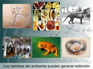 Los cambios del ambiente pueden generar extinción

 