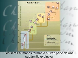 Los seres humanos forman a su vez parte de una
subfamilia evolutiva

 