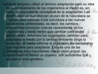 Lamarck tampoco utilizó el término adaptación pero su idea
de acomodamiento de los organismos al medio es, sin
duda, un equivalente conceptual de la adaptación. Las
modificaciones que desvían al plan de la naturaleza se
originan para adecuar a los individuos a las nuevas
condiciones ambientales, es decir, los cambios
ambientales provocan nuevas necesidades en los
organismos y estos tienen que cambiar para poder
satisfacerlas, entonces los organismos cambian para
adaptarse al medio por lo tanto el ambiente dirige la
evolución, el medio informa al organismo las variaciones
que requiere para adaptarse. Esta es una de las
diferencias más importantes con la visión actual, las
variaciones no tienen un objetivo, son accidentes que
ocurren a nivel genético

 