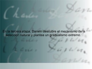 En la tercera etapa, Darwin descubre el mecanismo de la
selección natural y plantea un gradualismo extremo.

 