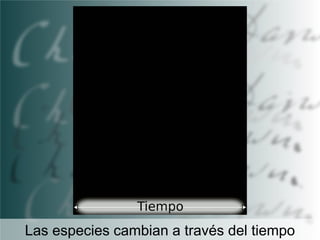 Las especies cambian a través del tiempo

 