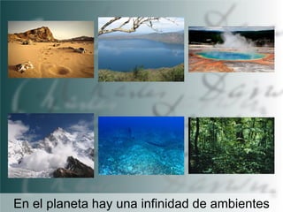 En el planeta hay una infinidad de ambientes

 